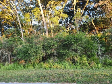 0 Cedar Trace, Ocala, FL 34472 - photo 2