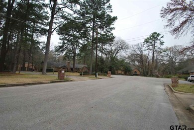 9062 9062 Elm Tree Cir, Tyler, TX 75703 - photo 2