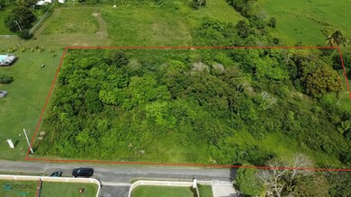 Parcela Camino Los Nieves unit 3, Arecibo, PR 00612 - photo 4