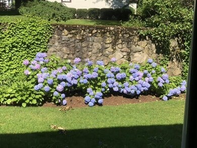 98 Laurel Dr, Needham, MA 02492 - photo 5