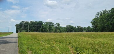 0 Dorsch Rd unit RTC2658840, Manchester, TN 37355 - photo 4