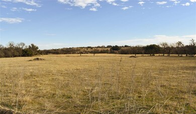 638 Hondo Crossing, Weatherford, TX 76087 - photo 4