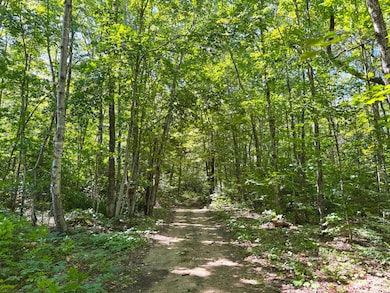 5146 Michigan 123 unit 5146, Eckerman, MI 49728 - photo 4