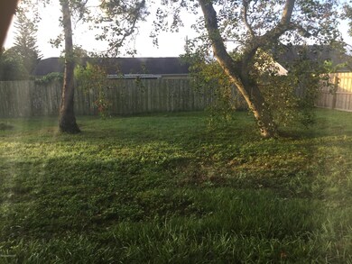 Back yard 1