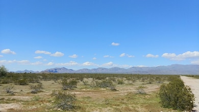 75E and Salome Rd, Salome, AZ 85348 - photo 3