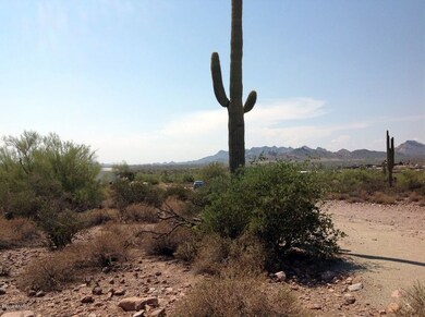 view from NE corner of property (looking