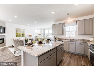 3031 126th Ave NE unit E, Minneapolis, MN 55449 - photo 6