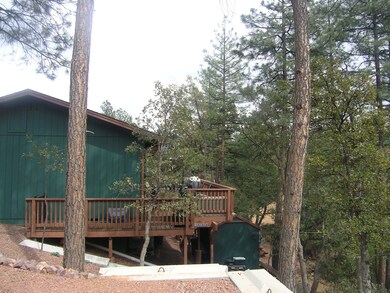 Ute Trail 010