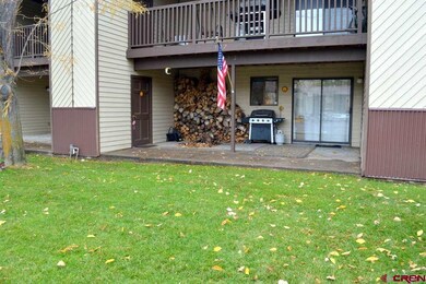 1206 Avenida Del Sol unit 312, Durango, CO 81301 - photo 4