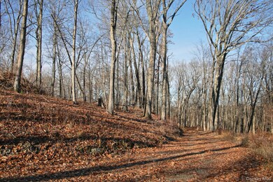 0 Electronics Rd, Clinton Corners, NY 12514 - photo 7