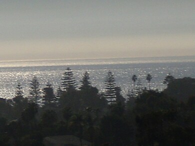 0 Forest Ave unit 170034829, Carlsbad, CA 92008 - photo 3