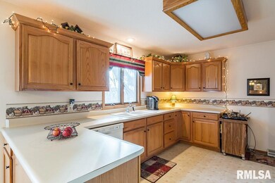 1317 W 51st St, Davenport, IA 52806 - photo 6