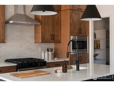 743 Little Leaf Dr, Windsor, CO 80550 - photo 7