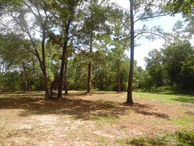 11 Terry Ln, Crawfordville, FL 32327 - photo 3