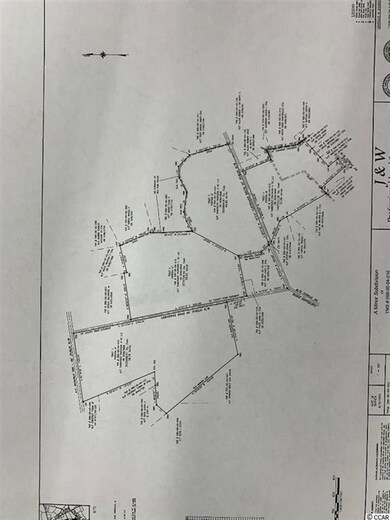 TBD Cheyenne Rd, Loris, SC 29569 - photo 2