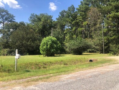 115 Clearview Dr, Sylvester, GA 31791 - photo 7