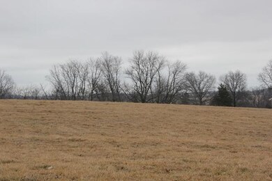 IMG_9605.jpg