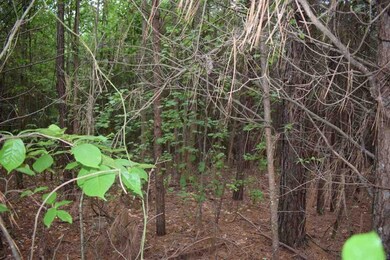 8 A St, Inman, SC 29349 - photo 4