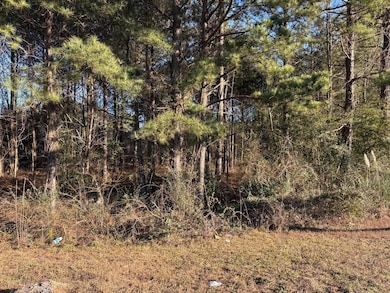 Tbd Edgefield Hwy, Aiken, SC 29801 - photo 4