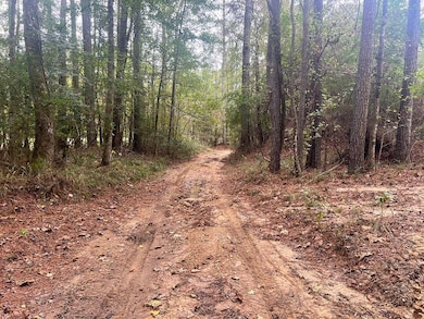 Highway 33, Crosby, MS 39633 - photo 4