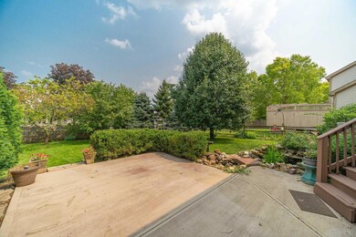 Back patio