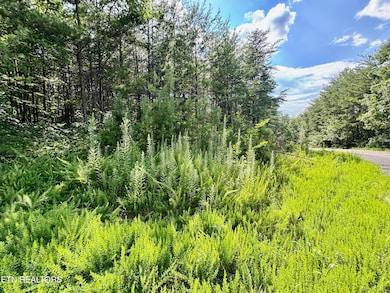 0 Sassafras Trail, Sevierville, TN 37876 - photo 4