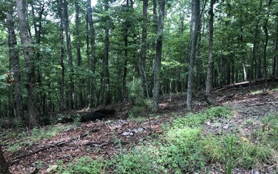 Additional View