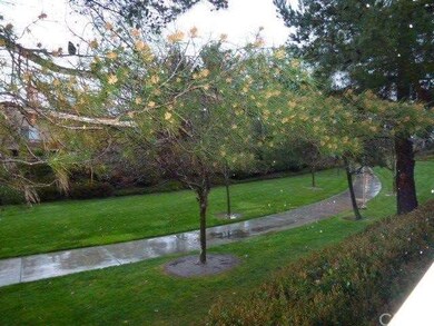 Backyard's View of Greenbelt and Walking Trail