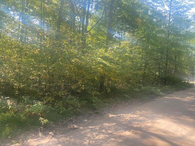 7813/7831 Wilderness Dr, Weidman, MI 48893 - photo 5