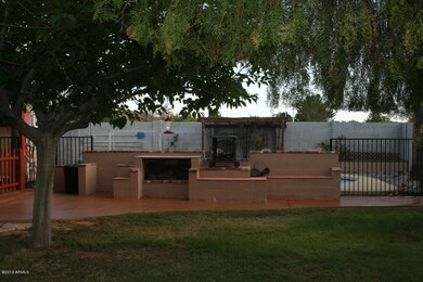 BBQ Area and Lawn