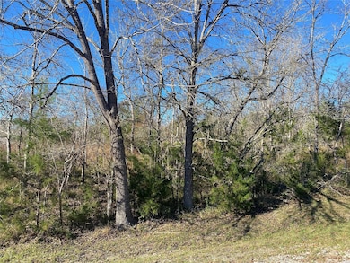 61 Piping Rock Place, Cape Royale, TX 77331 - photo 7