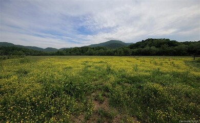 Fenced pasture and mountain views