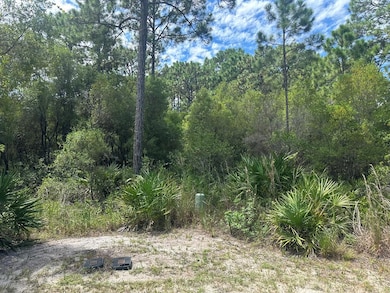 152 White Pelican Way, Carrabelle, FL 32322 - photo 3