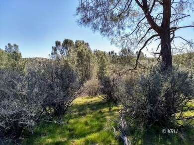 Beautiful Landscape