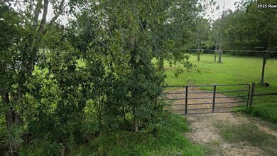 2926 Rowan Burton Rd, Alvin, TX 77511 - photo 2