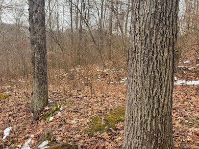 Lot 1 State Fork Rd, Metz, WV 26585 - photo 2