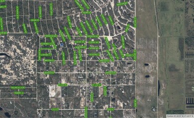 121 Sun Flower Dr, Lake Placid, FL 33852 - photo 3