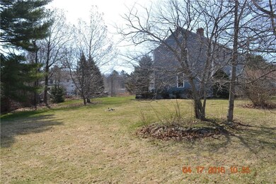 Tree lined portion of the back yard.
