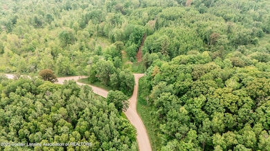 13505 7 Mile Rd, Evart, MI 49631 - photo 6