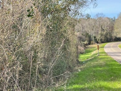 000 Mount Herman Rd, Osyka, MS 39657 - photo 3