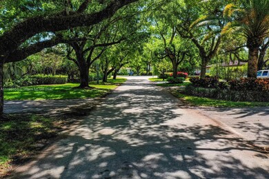 Tree-lined street