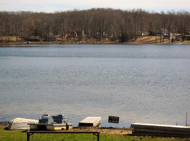 340 Ford St, Bitely, MI 49309 - photo 3