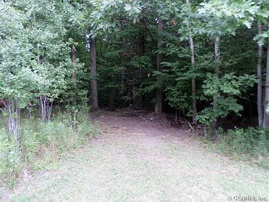 Land/Lot.