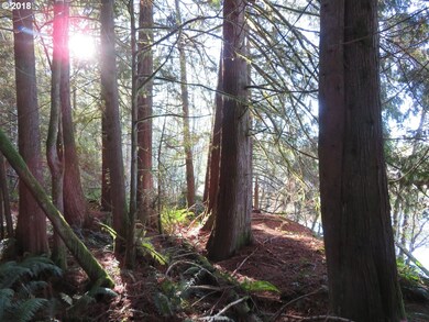 0 Wayne Rd W unit 5 18192863, Seabeck, WA 98380 - photo 6