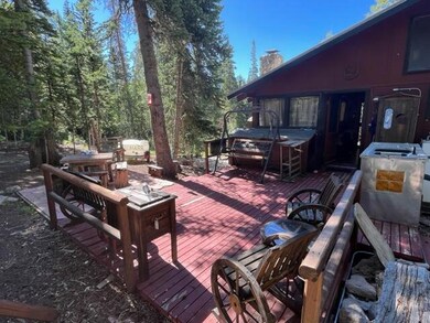 Marr back porch
