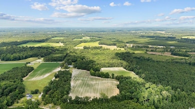 TBD Plainfield Rd, Galivants Ferry, SC 29544 - photo 5