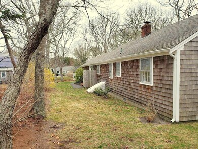 back yard view 2