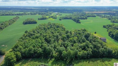 2500 Biggs Rd, Kevil, KY 42053 - photo 5