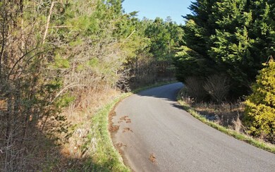Additional View