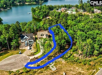 934 Salisbury Ct, Chapin, SC 29036 - photo 3